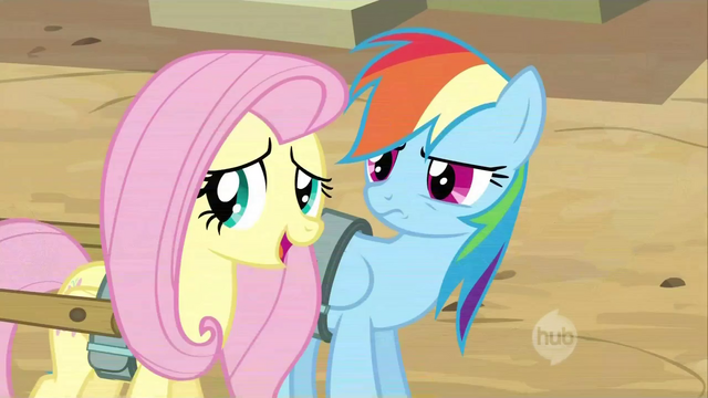 File:Fluttershy looking away from Dash S2E14.png