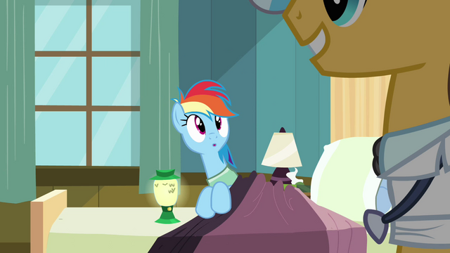 File:Rainbow Dash blanket2 S02E16.png