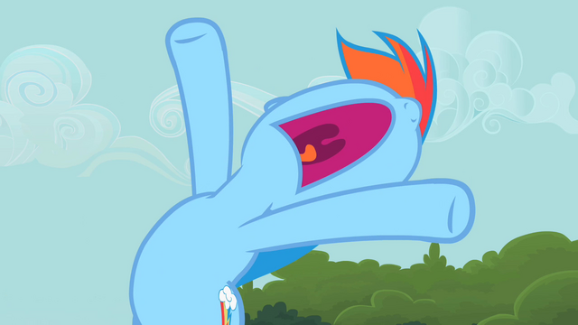 File:Rainbow Dash ahhhhhhh S2E8.png