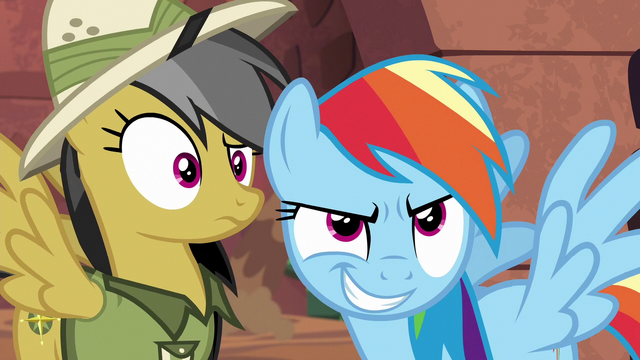 File:Daring Do confused; Rainbow Dash smirking S6E13.png