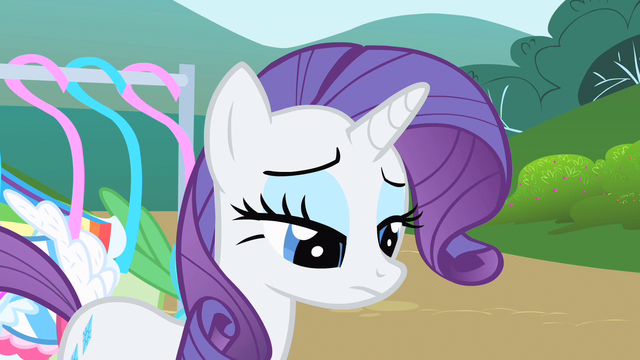 File:Rarity I know S1E20.png