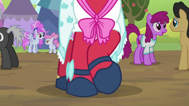 File:The front legs of Orchard Blossom S5E17.png