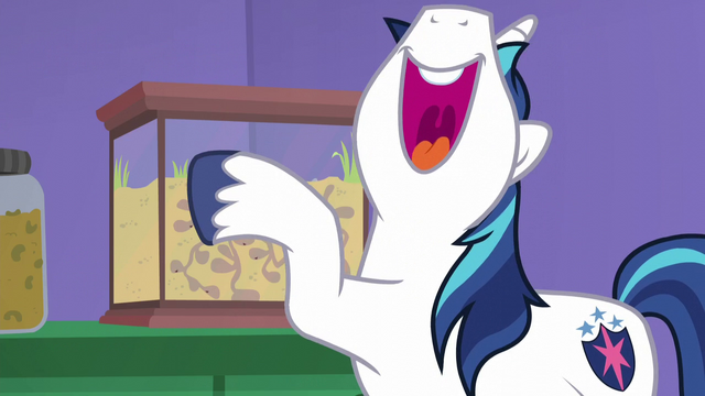 File:Shining Armor tapping on ant farm glass S5E19.png