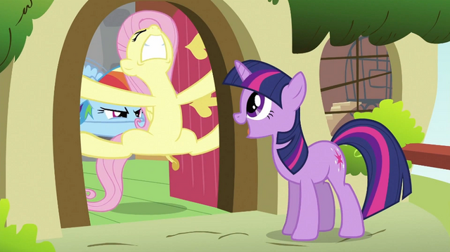 File:Twilight trying to convince Fluttershy S2E21.png