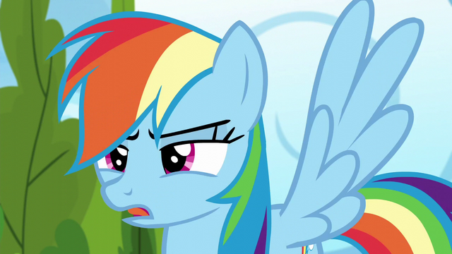 File:Rainbow Dash "nopony else is here" S6E7.png