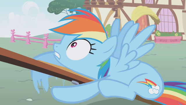 File:Rainbow Dash "Wait!" S01E04.png