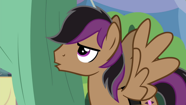 File:Stellar Eclipse stern "no!" S4E22.png