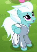 Fleetfoot2.png