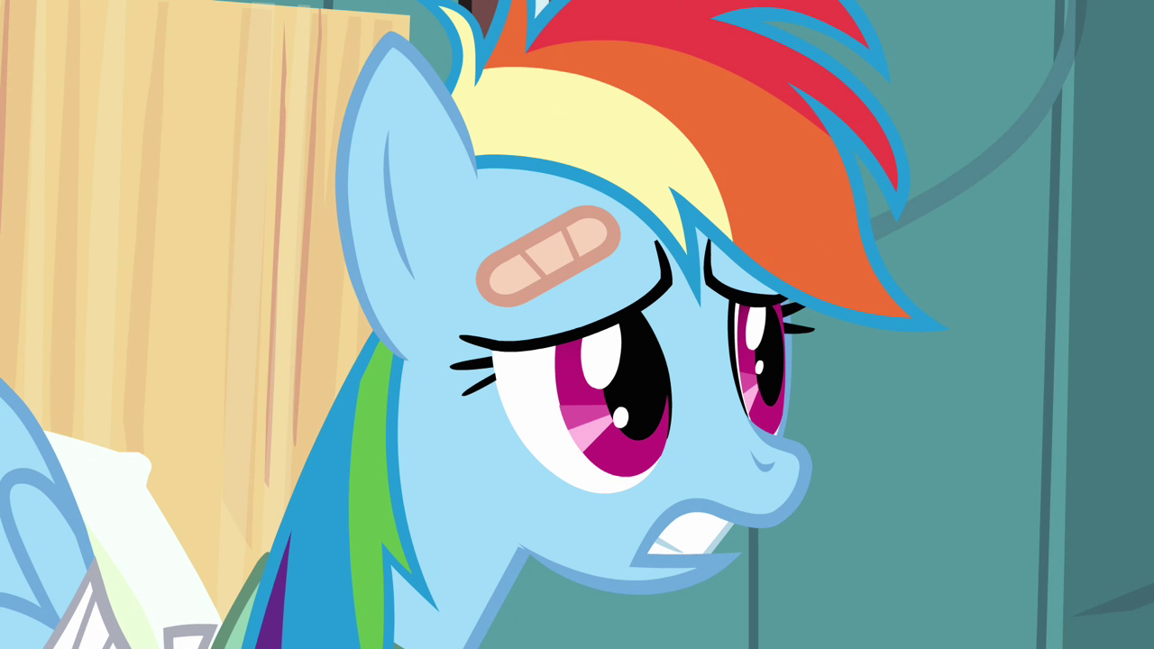 Image Worried Rainbow Dash S02E16.png My Little Pony Friendship is