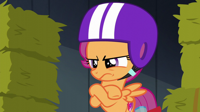 File:Scootaloo annoyed S6E4.png