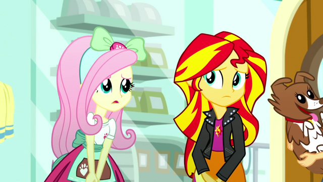 File:Fluttershy feels sorry for Sunset Shimmer SS7.png