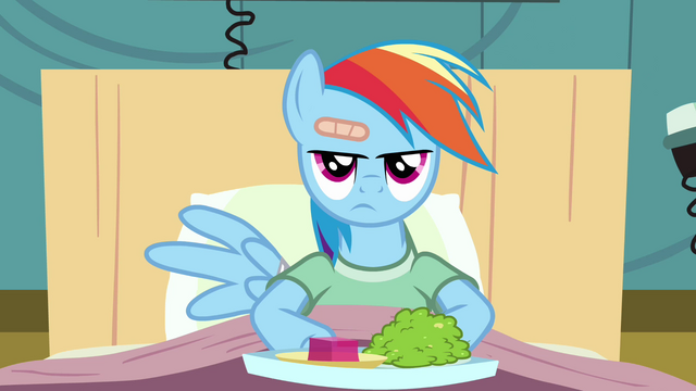 File:Rainbow Dash watching S02E16.png