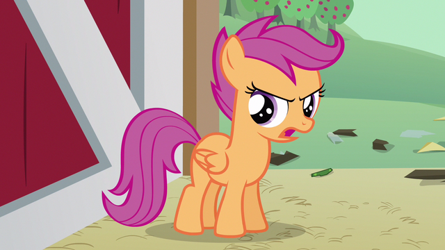 File:Scootaloo yeah S3E4.png