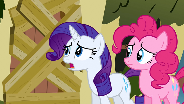 File:Rarity asking Fluttershy S2E19.png