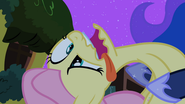 File:Derpyshy S02E04.png