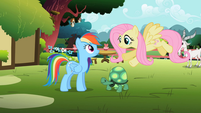 File:Fluttershy 'Wait!' S2E07.png