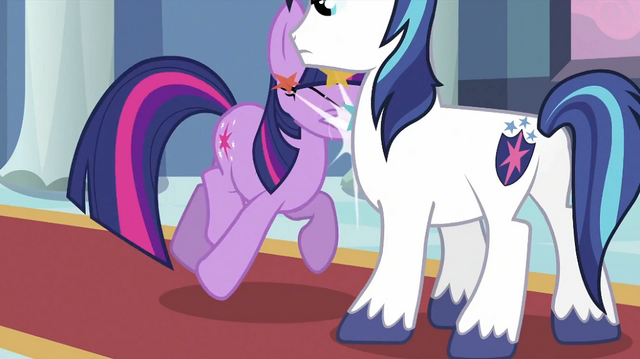 File:Twilight bumping into Shining Armor S2E25.png