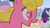 S02E03 Cherry Berry, Rarity.png