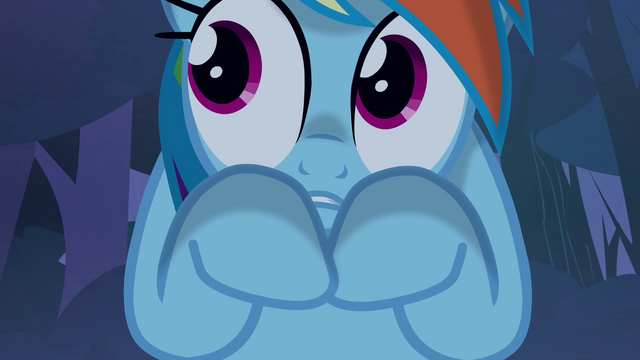 File:Rainbow 'are haunted...' S3E06.png