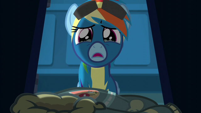 File:Rainbow Dash getting teary-eyed S6E7.png
