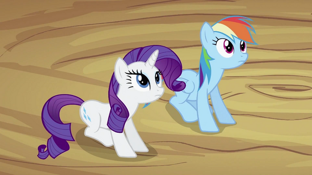 File:Rarity and Rainbow Dash S2E03.png