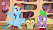 Rainbow, Owlowiscious and Spike playing around S4E21.png