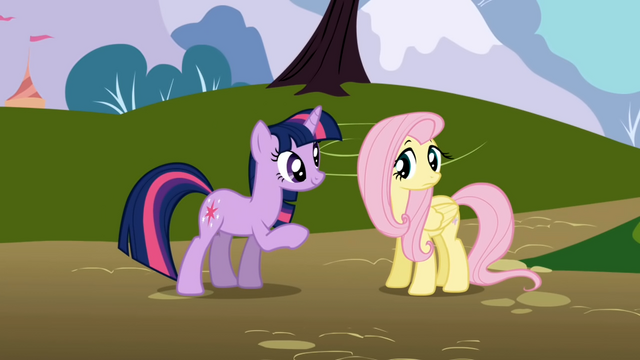 File:Twilight and Fluttershy1 S1E01.png