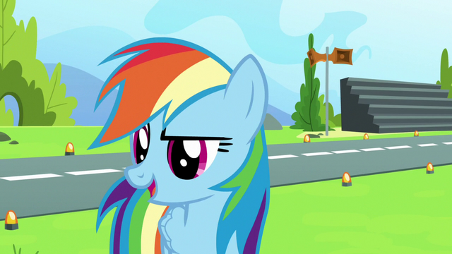 File:Rainbow Dash has an idea S7E7.png