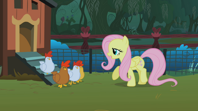 File:Fluttershy and the chickens S01E17.png