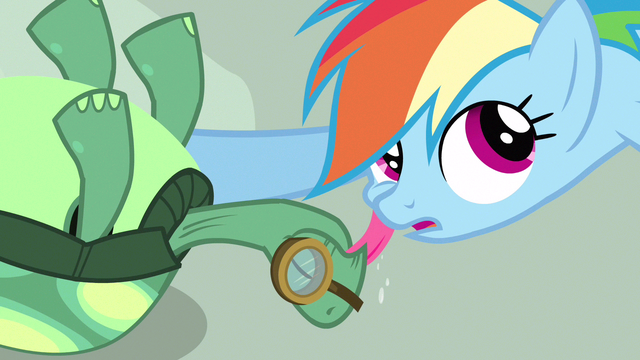 File:Rainbow Dash getting affection S3E11.png