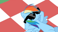 710px-Rainbow Dash chillin' S02E03.png