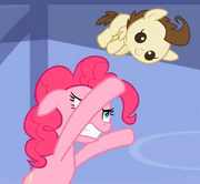 Pound Cake.png