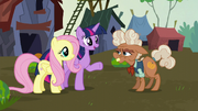 Twilight and Fluttershy meet Ma Hooffield S5E23