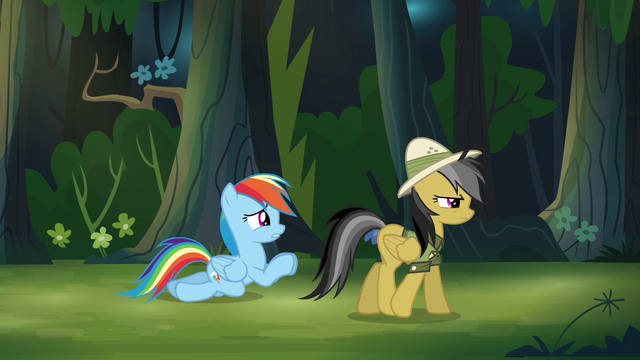 File:Rainbow Dash begging S4E04.png