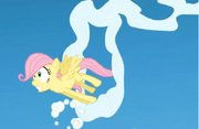 Fluttershy s.png