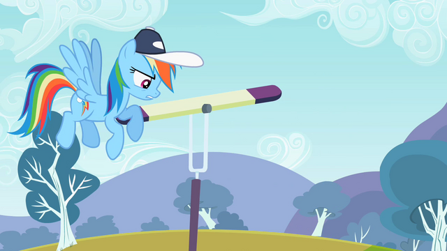 File:Rainbow Dash "Not agile" S2E07.png