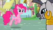 S02E18 Pinkie spotyka Zecorę.png