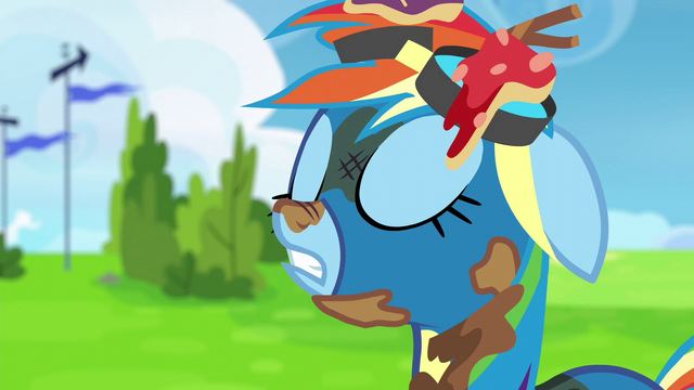 File:Rainbow Dash "just testing you guys" S6E7.png