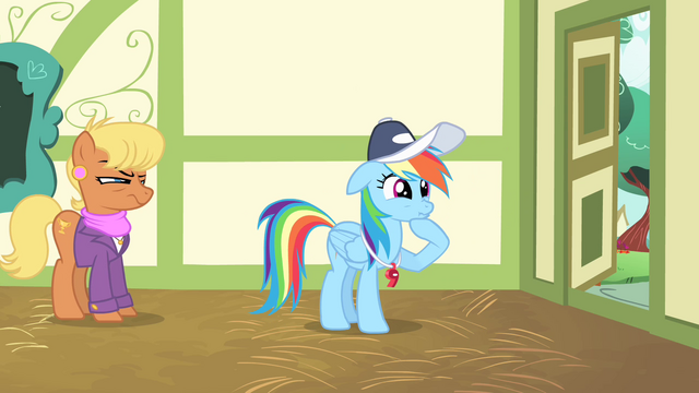 File:Rainbow Dash calming herself down S4E05.png