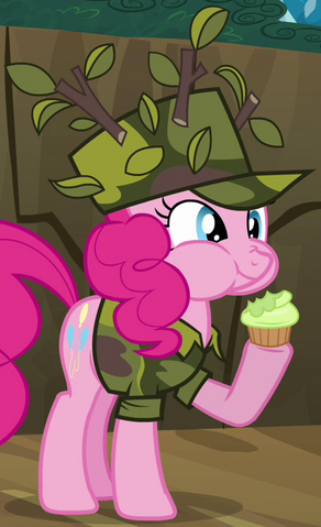File:Pinkie Pie camo ID S2E21.png