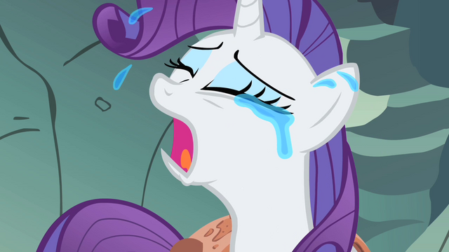 File:Rarity crying S01E19.png