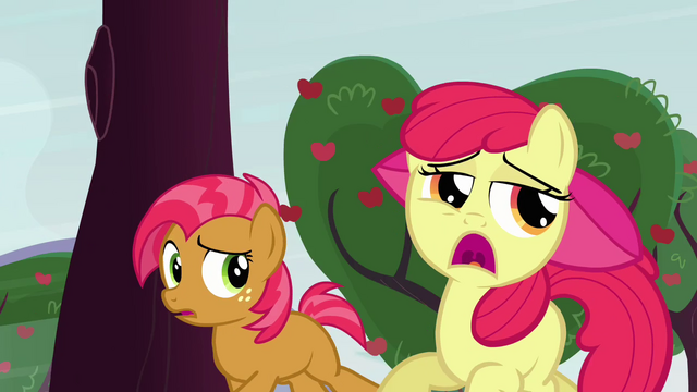 File:Apple Bloom 'Ugh...' S3E08.png
