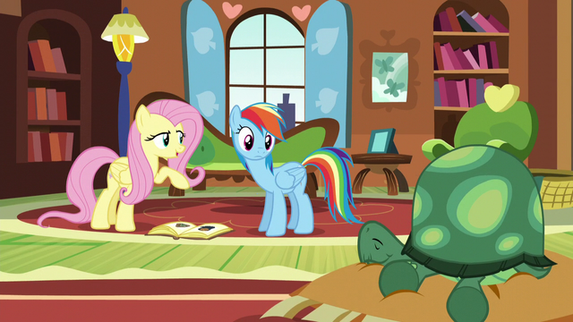 File:Fluttershy "But don't worry" S5E5.png