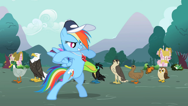 File:Rainbow Dash "Guts!" S2E07.png