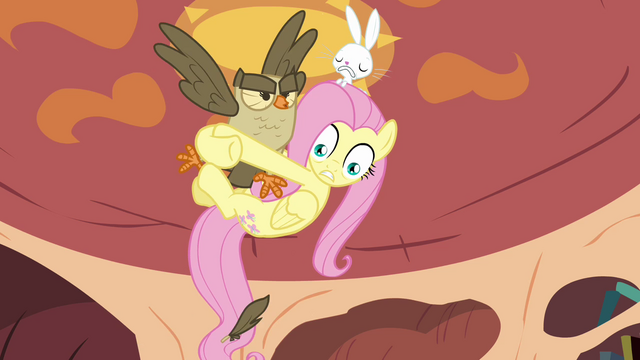 File:Fluttershy clings to Owlowiscious S03E11.png
