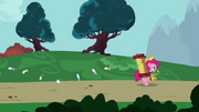 Pinkiepied.png