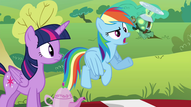 File:Rainbow "I doubt she'll notice what anypony's wearing" S4E18.png