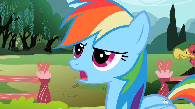 File:Rainbow Dash 'utmost importance' S2E07.png