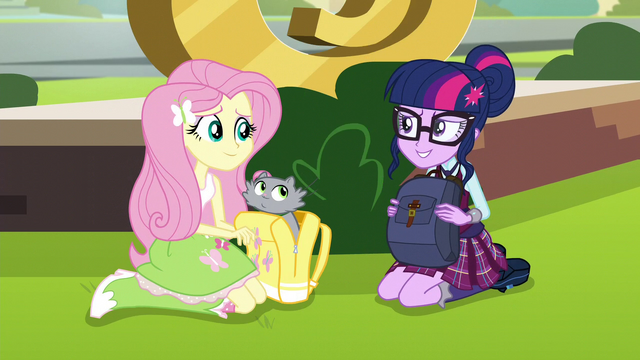 File:Twilight joins Fluttershy EG3.png