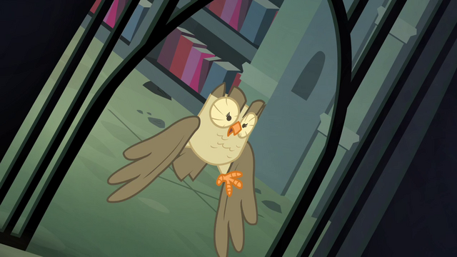 File:Owlowiscious worried S4E23.png